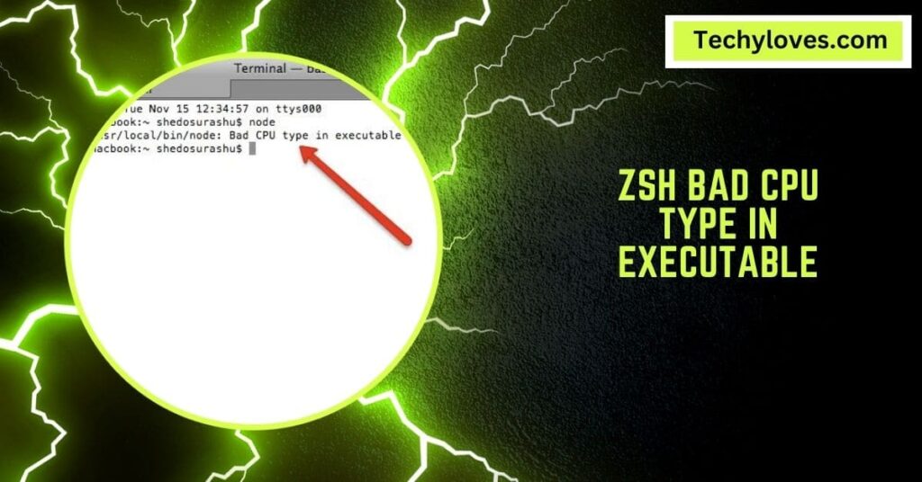 ZSH Bad CPU Type In Executable